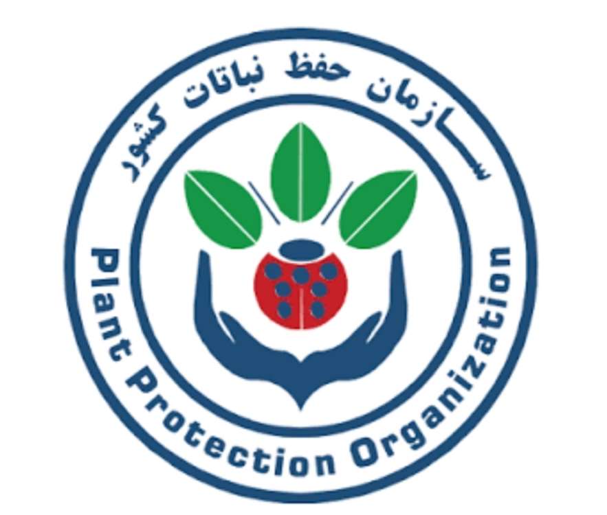 حفظ نباتات 